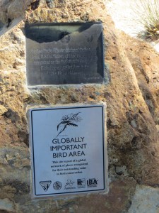 The San Pedro House is a birding mecca.